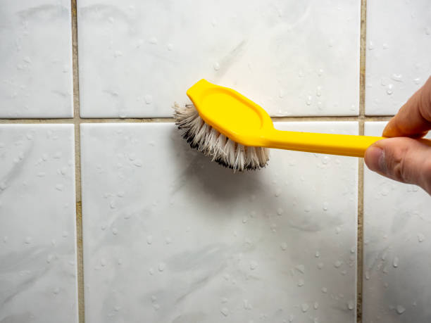 Best Bathroom Mold Remediation in Hackberry, TX