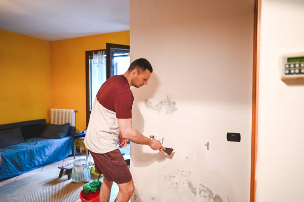 Best DIY Mold Remediation Support Services in Hackberry, TX
